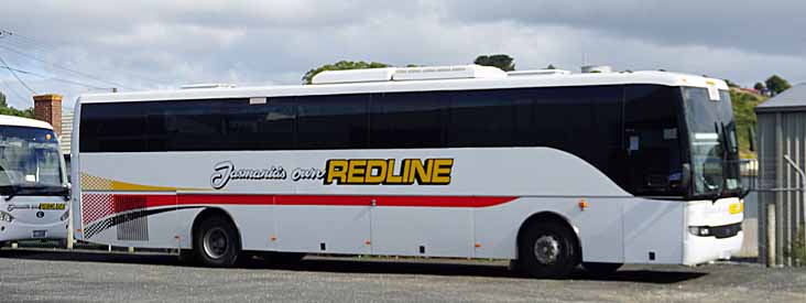 Tasmanian Redline